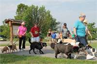 training pic 14 - pack walk